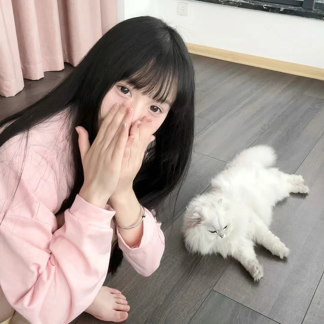 看狗在说话